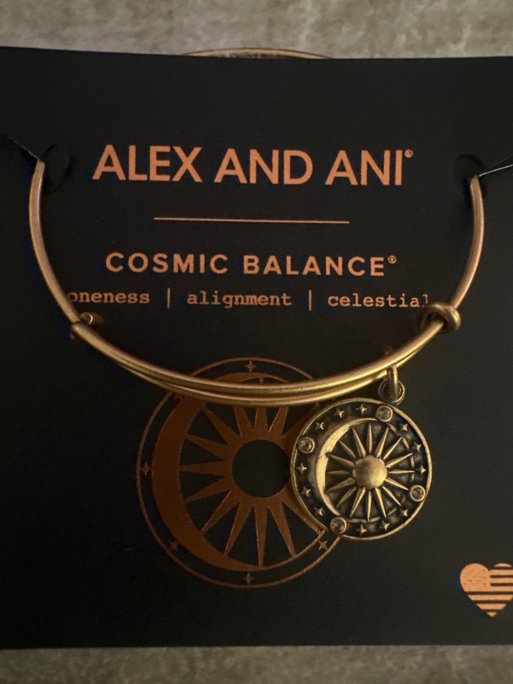 ALEX AND ANI BRACELET